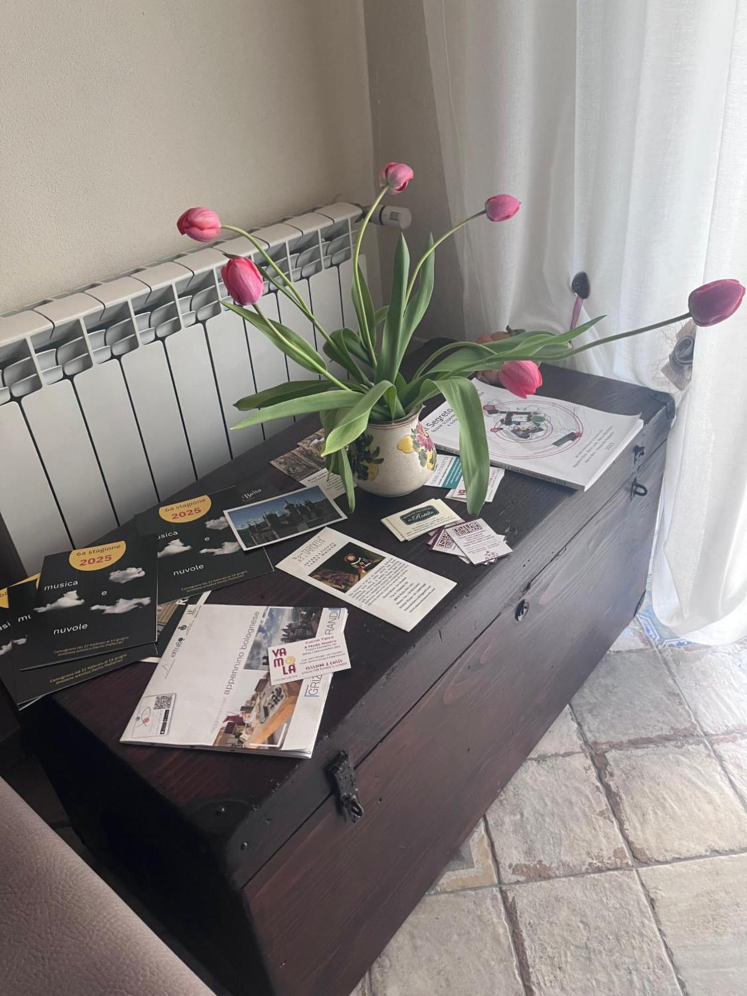 B&B Camelia Camugnano 외부 사진